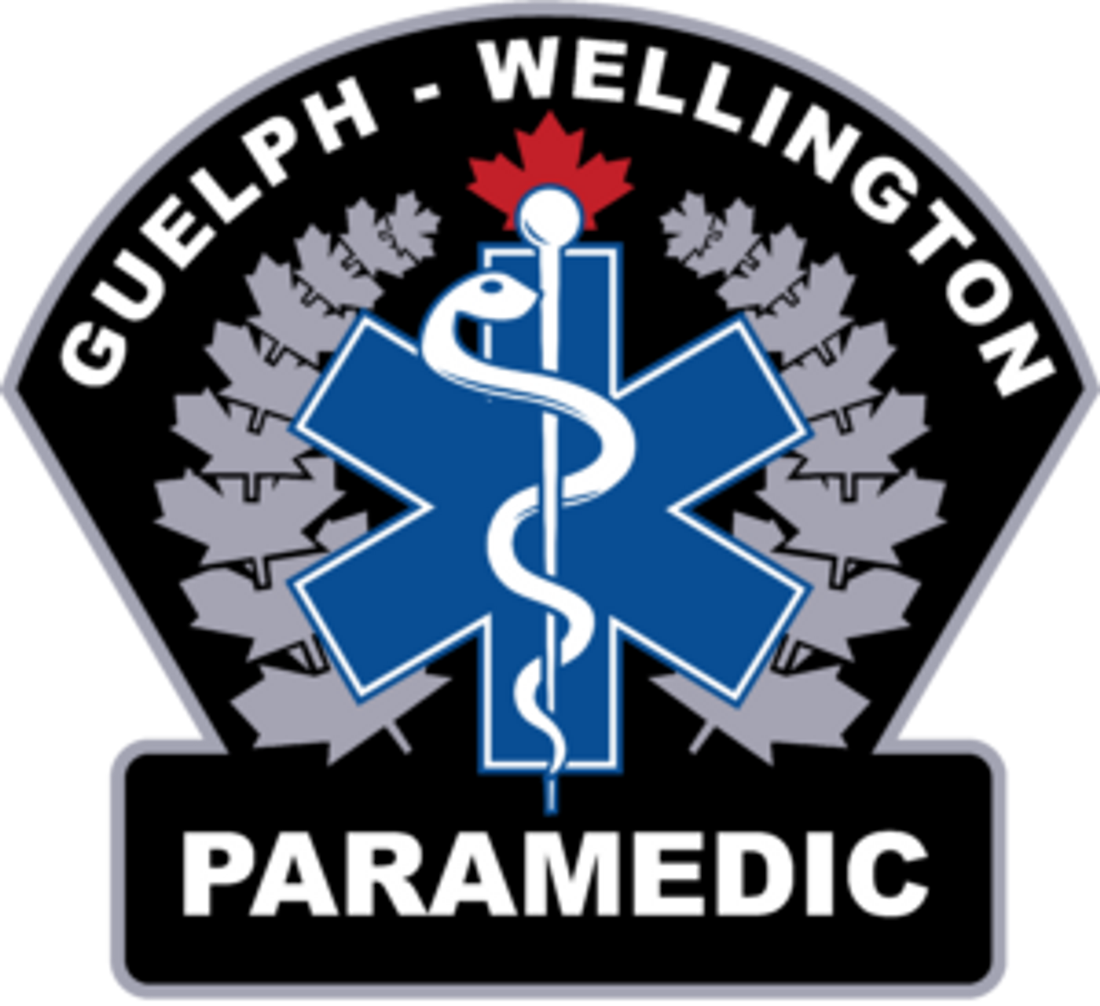GWParamedicsLogo-300x275-1.png
